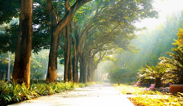 Nambiar District 25 Walking Area